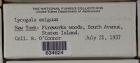 Image Associated With the Occurence
